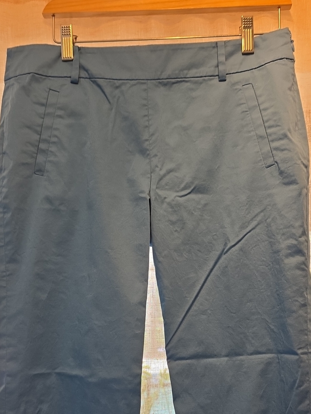 Ann Taylor Dress Pants